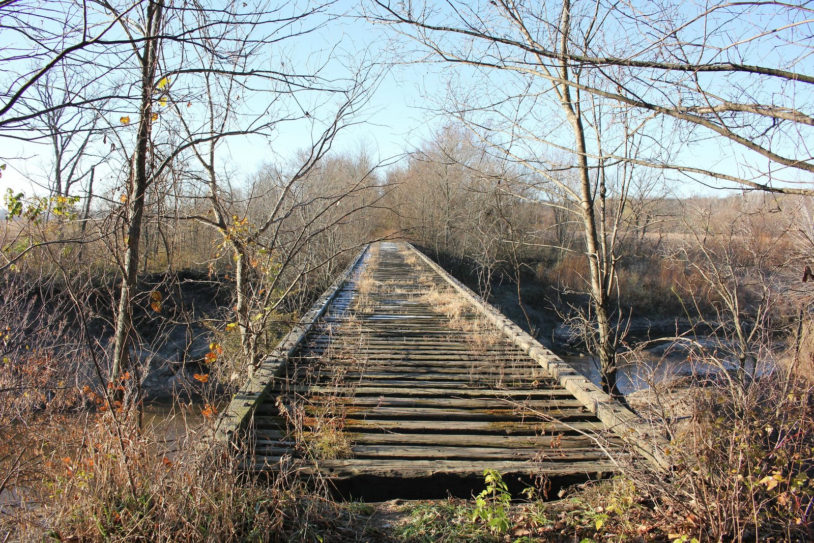 Looking north